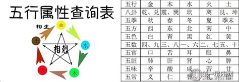 人的五行屬性|生辰八字查詢，生辰八字五行查詢，五行屬性查詢